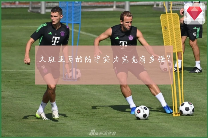 文班亚马的防守实力究竟有多强？