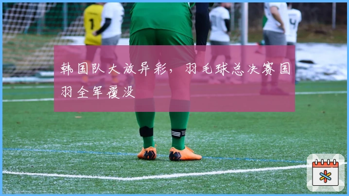 韩国队大放异彩，羽毛球总决赛国羽全军覆没